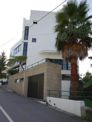Hotel O Cortico Sever do Vouga Exterior photo